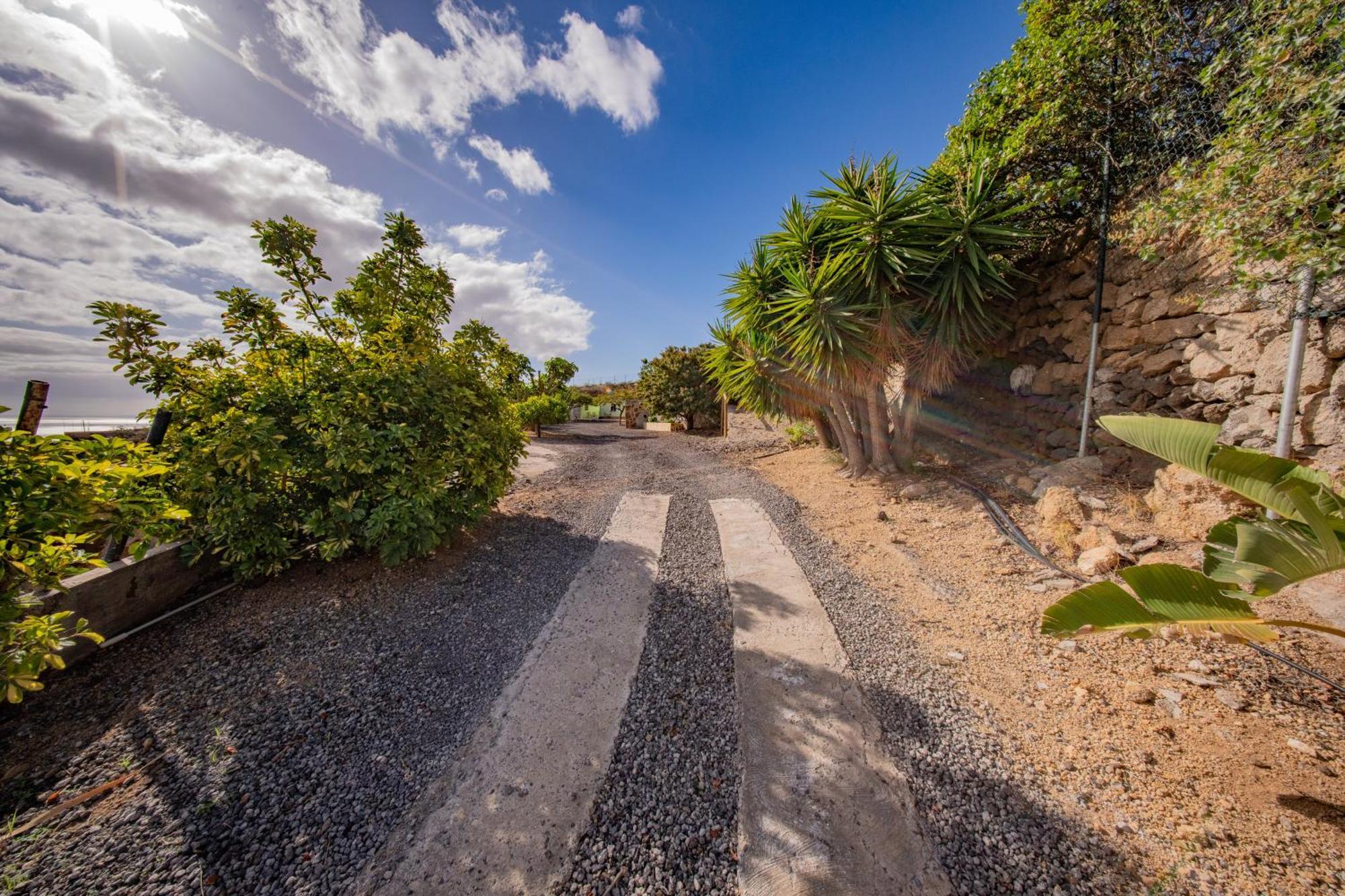 Casa Rural Buda Terra Santa Cruz de Tenerife Ngoại thất bức ảnh