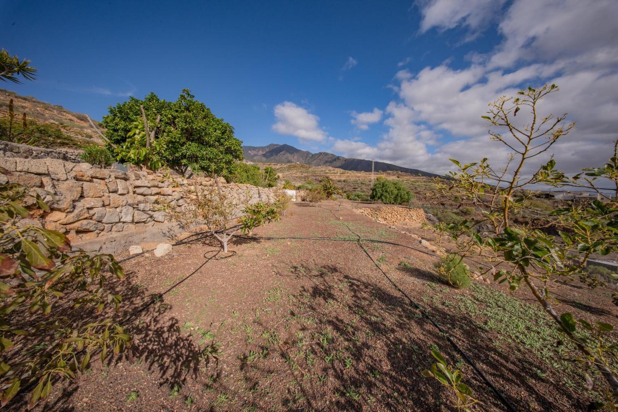 Casa Rural Buda Terra Santa Cruz de Tenerife Ngoại thất bức ảnh