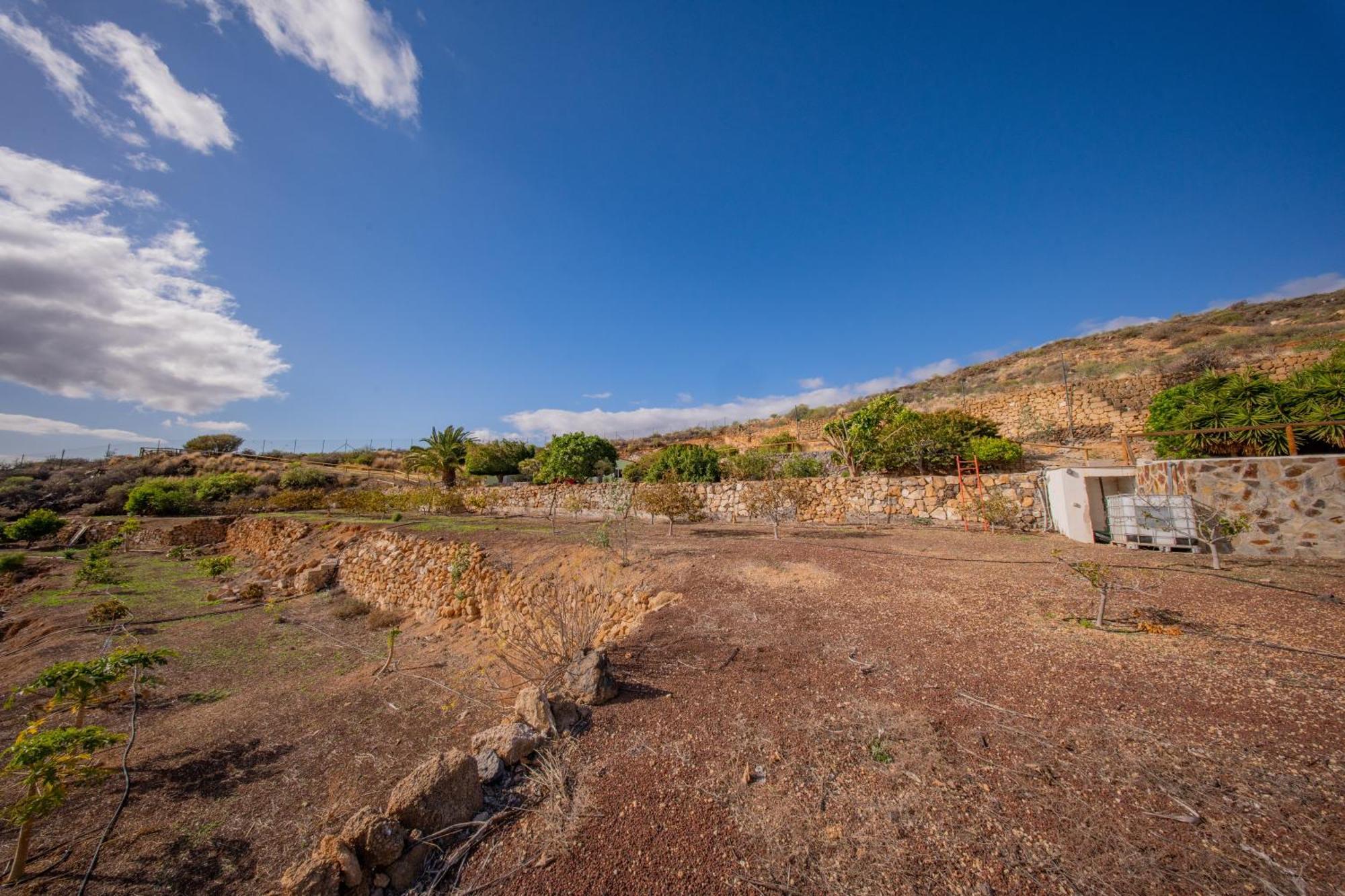 Casa Rural Buda Terra Santa Cruz de Tenerife Ngoại thất bức ảnh