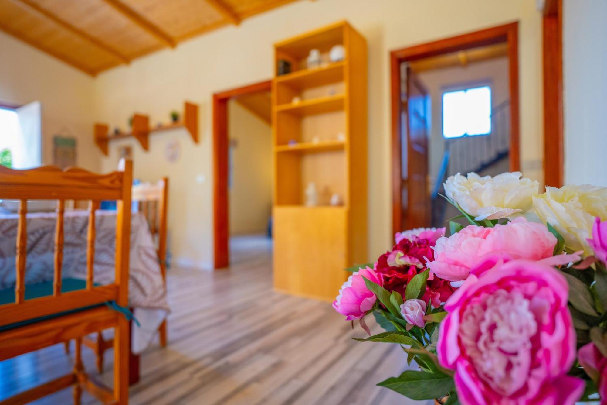 Casa Rural Buda Terra Santa Cruz de Tenerife Ngoại thất bức ảnh