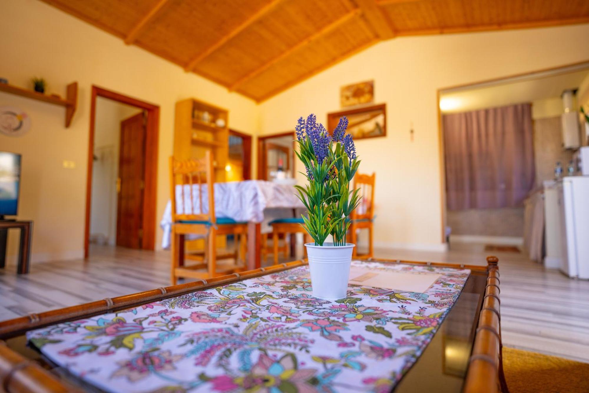 Casa Rural Buda Terra Santa Cruz de Tenerife Ngoại thất bức ảnh